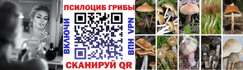 гидра ONION  Щёкино  Псилоцибиновые грибы мицелий 